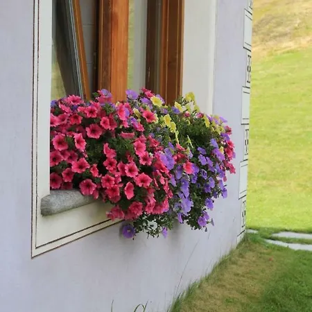 Chalet Marinella Apartment Livigno